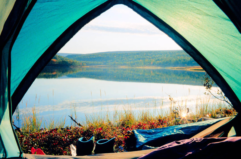 Выглядывая из палатки