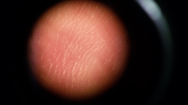 Простейший микроскоп из бинокля за пару минут