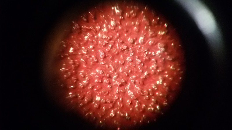 Простейший микроскоп из бинокля за пару минут