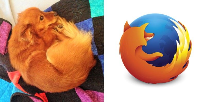 2.  Собака и Firefox 