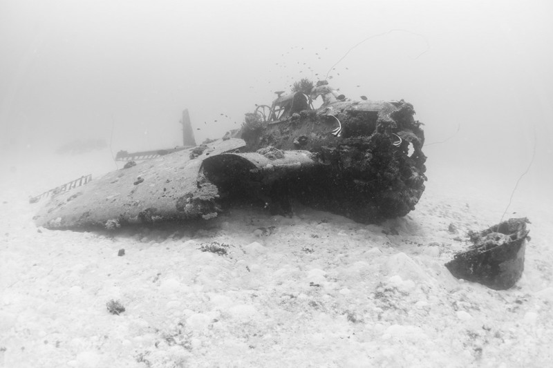 Затонувшие самолеты в фотографиях Brandi Mueller