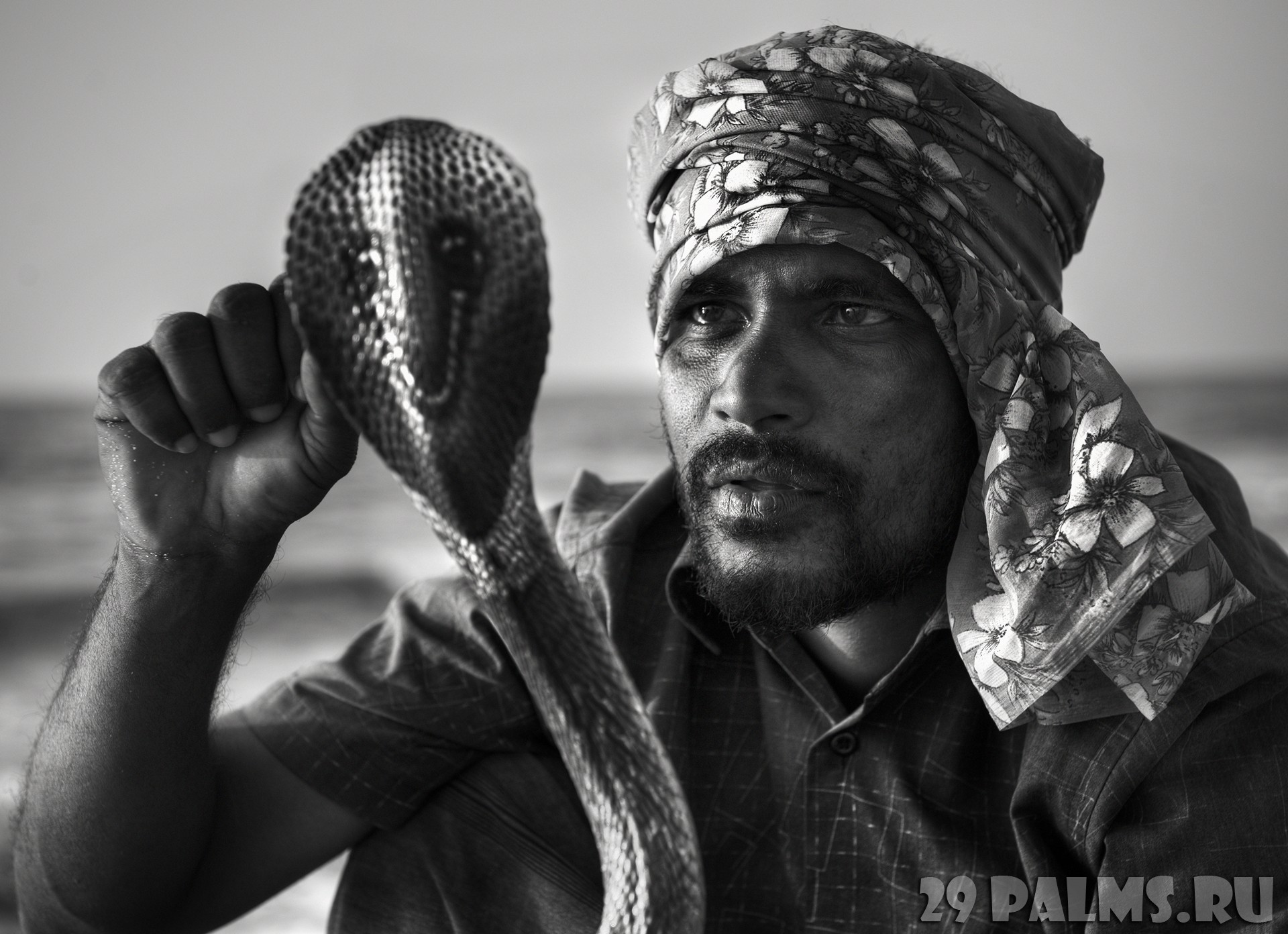 Snake Charmer Gif