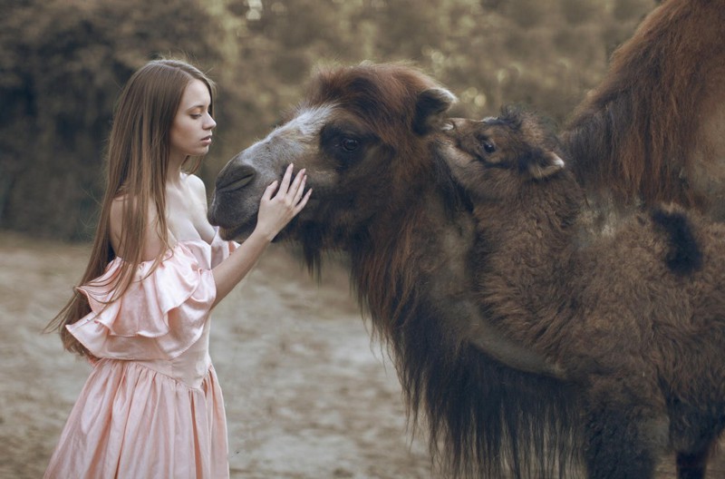 Русские девушки с дикими животными