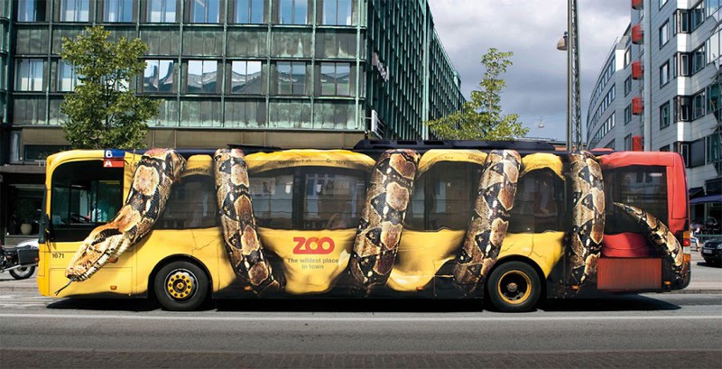 Эти безумные автобусы