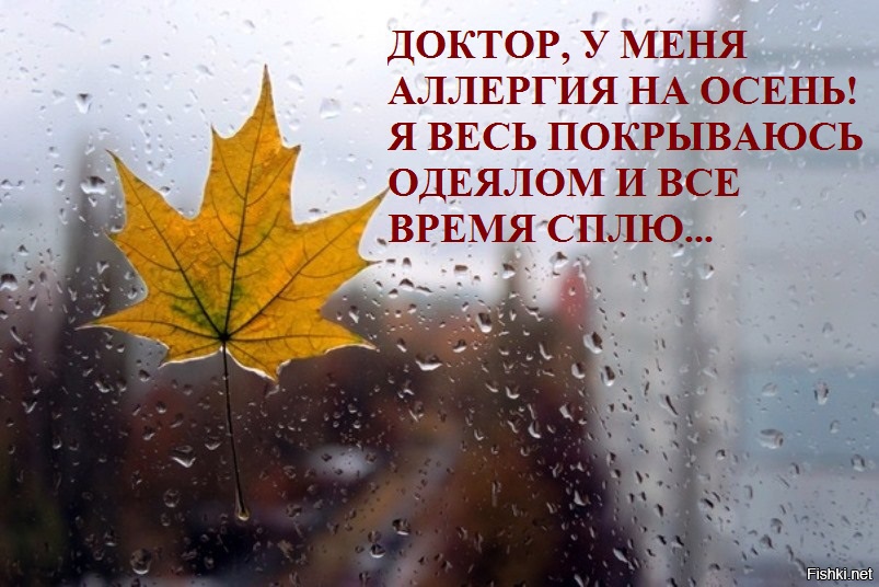 Картинки, прикольные картинки и шутки про осень