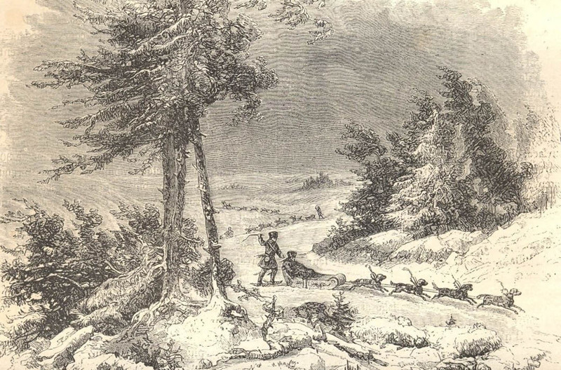 Езда на собаках, 1860 год