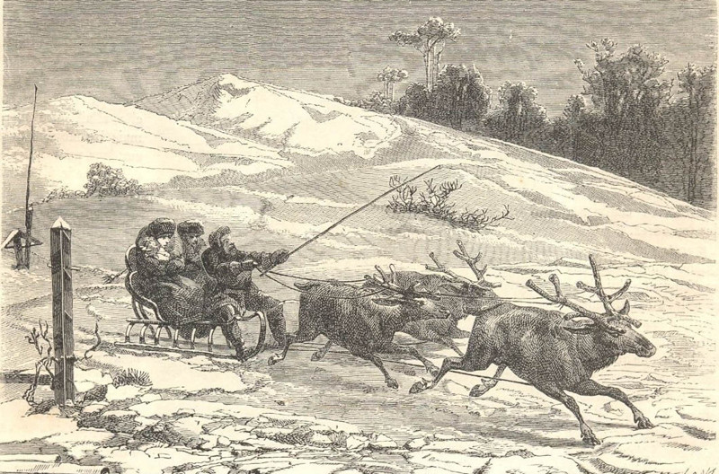 Сибирь. Оленья упряжка, 1862 год