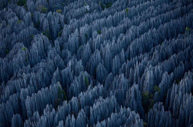 6. Каменный лес, Китай.