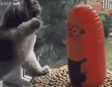 Подборка гифок