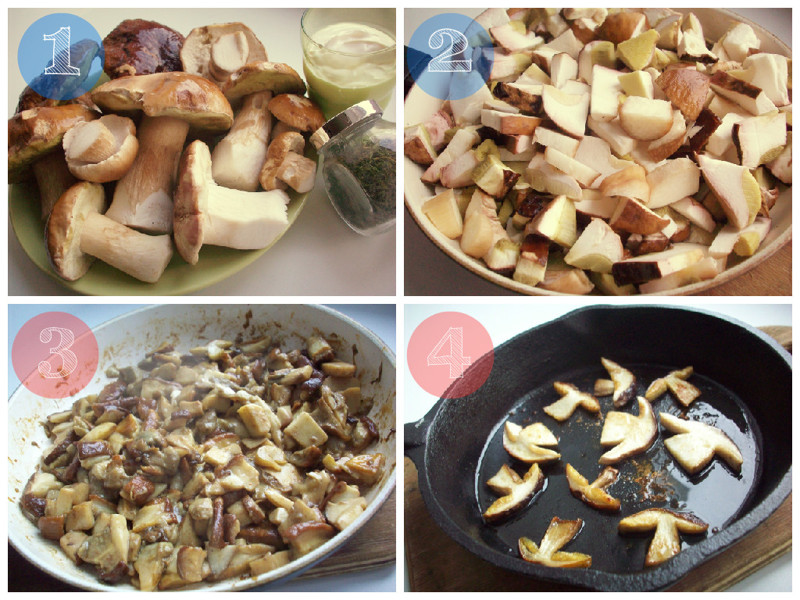 На тихую охоту: как собирать и готовить вкусные лесные грибы – блог интернет-магазина баштрен.рф