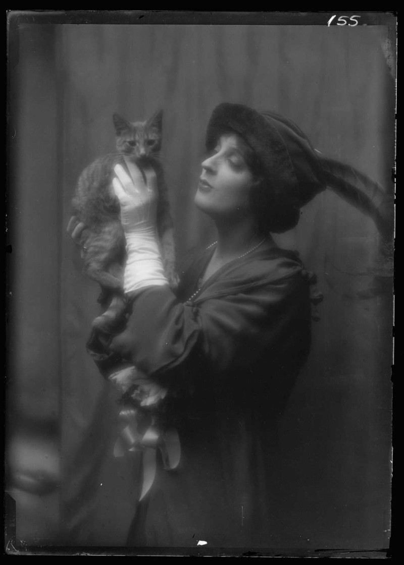 В начале 20-го века студии держали кошек для расслабления клиенток