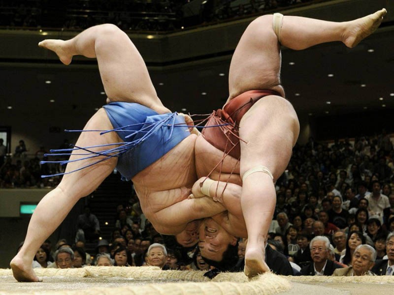 Борьба сумо (Япония)