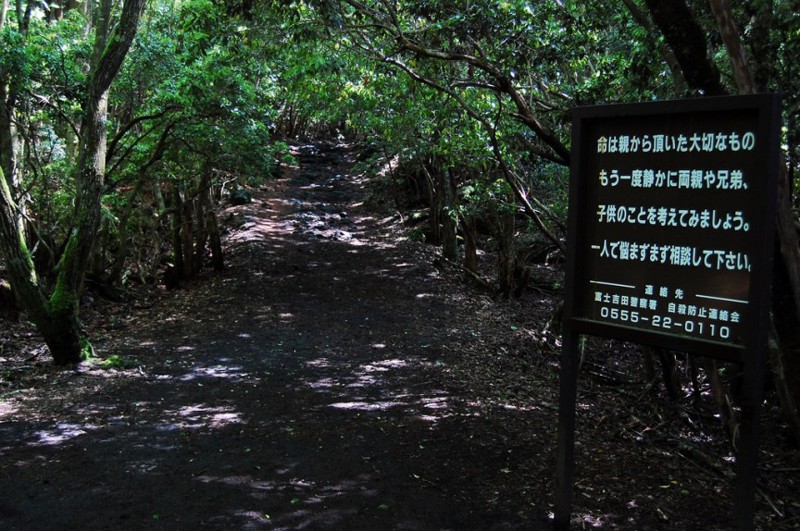 1. Лес Аокигахара, Япония