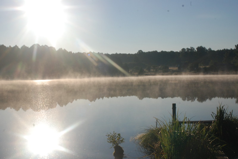 Утро на озерце
