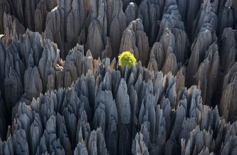Цинги-де-Бемараха, каменный лес на Мадагаскаре