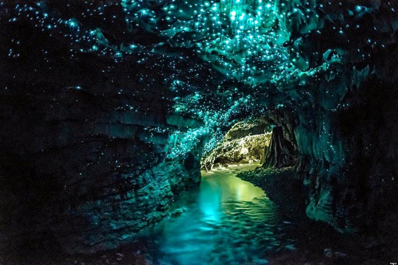 Светлячковые пещеры Уаитомо