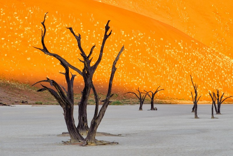 Марсианский пейзаж в Намибии