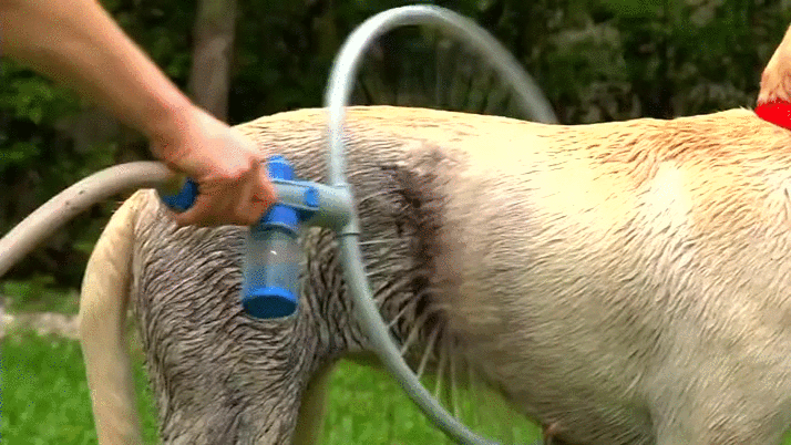 Удобный способ легко и быстро помыть животное