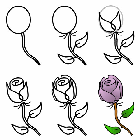 4. Как нарисовать розу