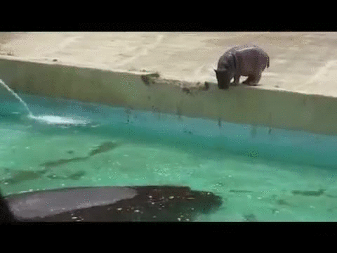 Пока еще не уклюжий