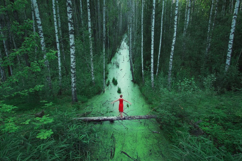В бескрайних лесах, Россия