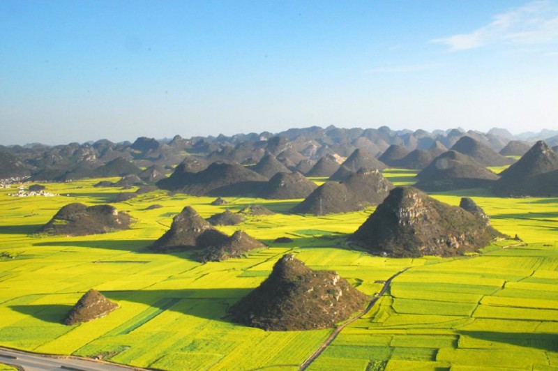 Рапсовые поля в Люпинге, Китай