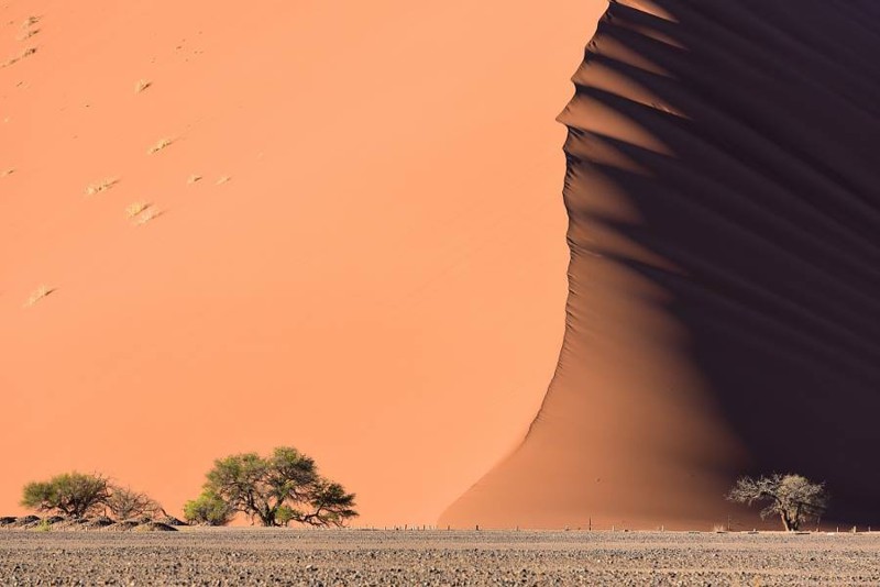 Море пустыни Намиб.