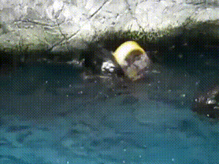 Подборка Gif