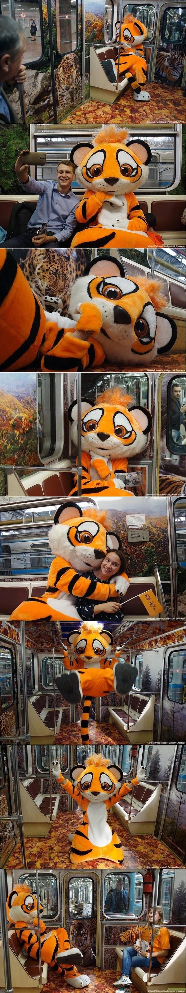В московском метро появился "Полосатый рейс"