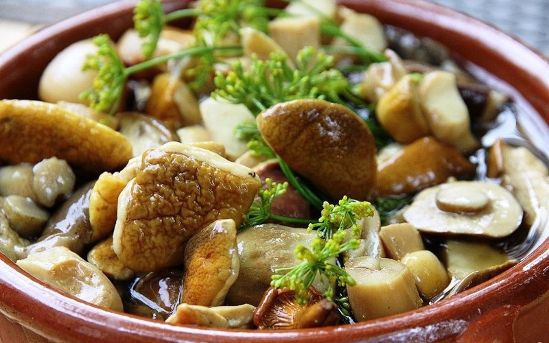 Соленые грибочки – всеми нами излюбленное блюдо, которое поражает своей простотой и вкусом.