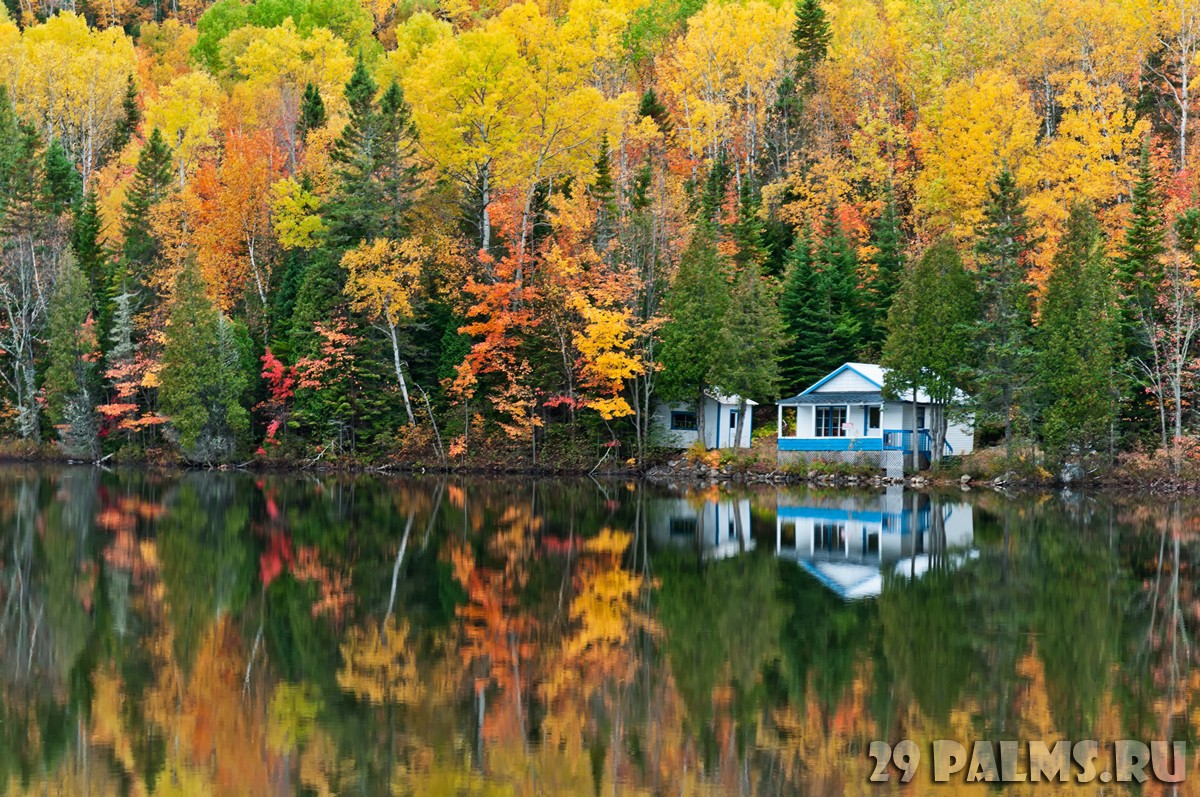 Осеннее озеро в лесу загрузить