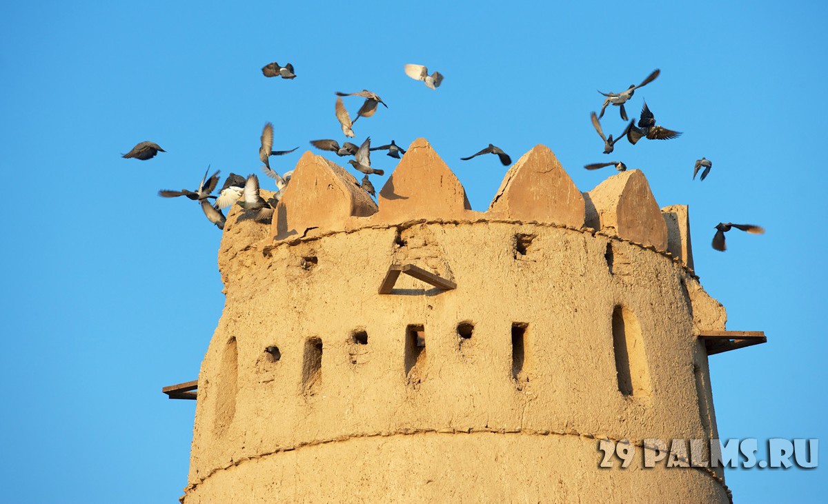 Путешествие в Абу-Даби