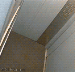 Из солянки Из солянки