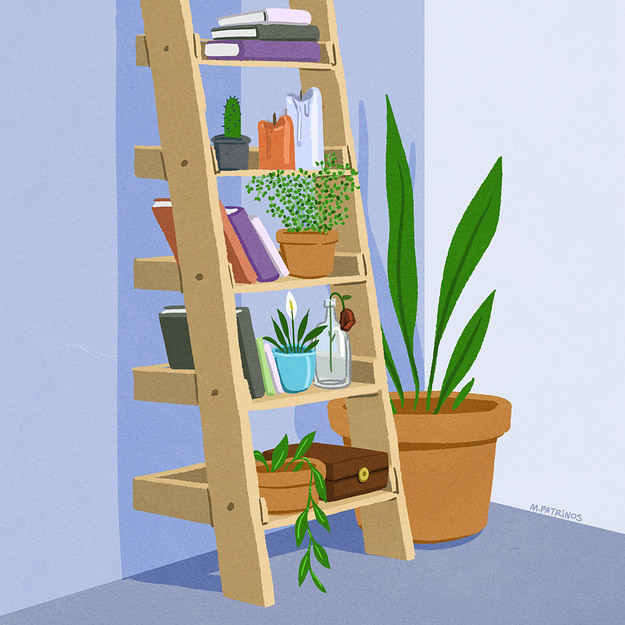 3. Ваши комнатные растения переезжают на полку повыше.