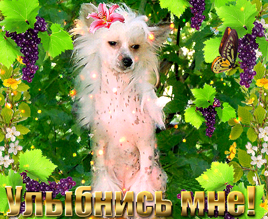 красота страшная сила