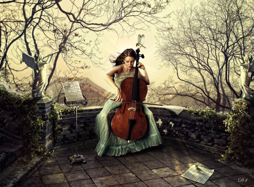 Образ скрипки. Девушка с виолончелью. Девушки со скрипкой. Красивая скрипка. Виолончель арт.