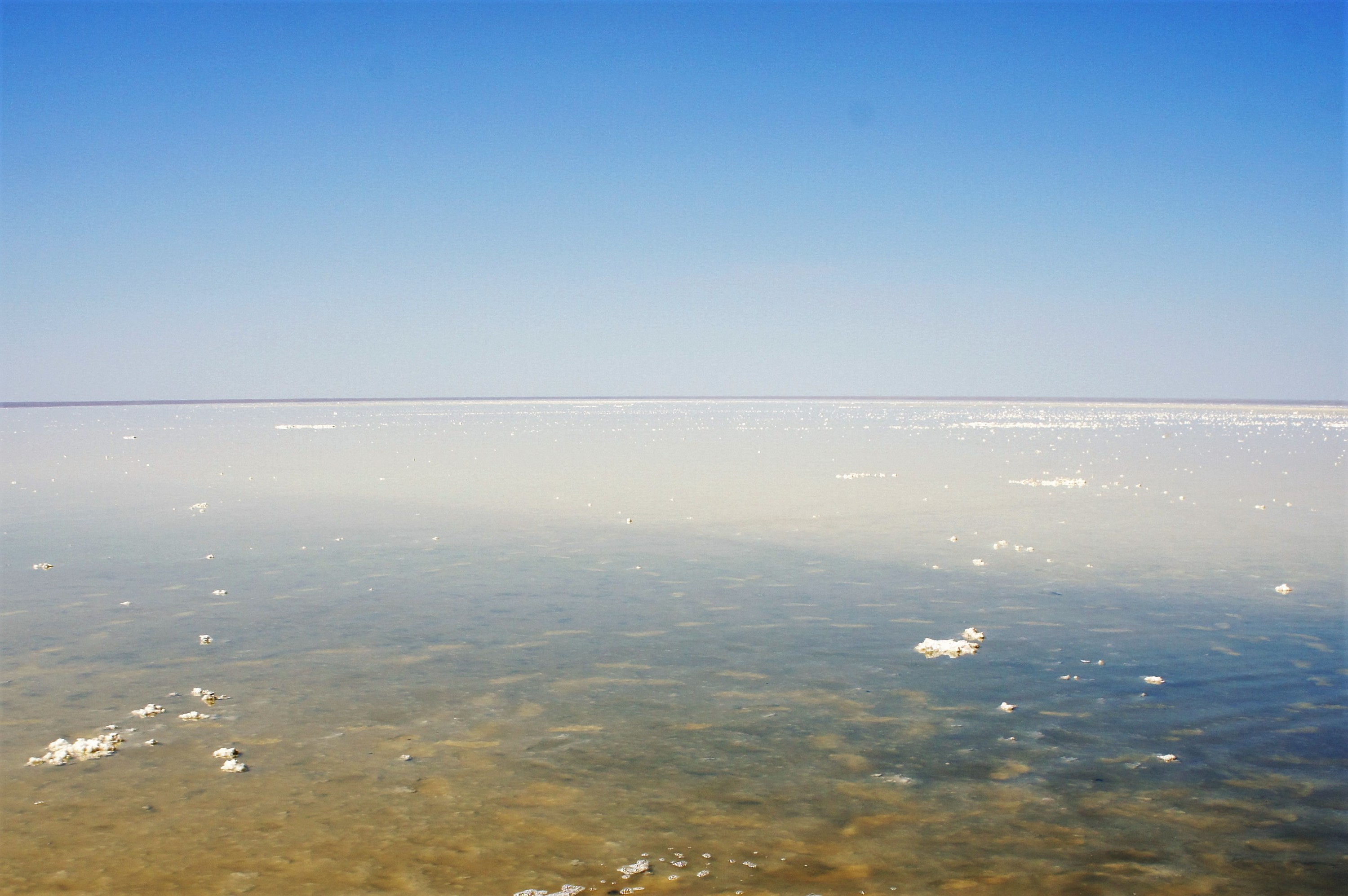 Озеро эльтон россия. Эльтон золотое озеро. Озеро Эльтон Энгельс. Рапа озера Эльтон. Озеро Эльтон Саратовская область.