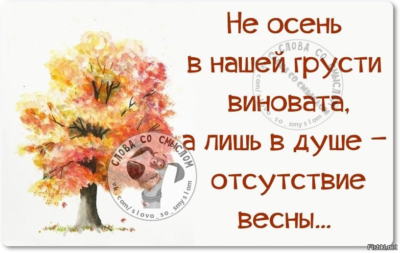 Главное осенью. Не осень в нашей грусти виновата а лишь. Не осень в нашей грусти виновата а лишь в душе отсутствие. Осень не виновата. Осень а в душе Весна.