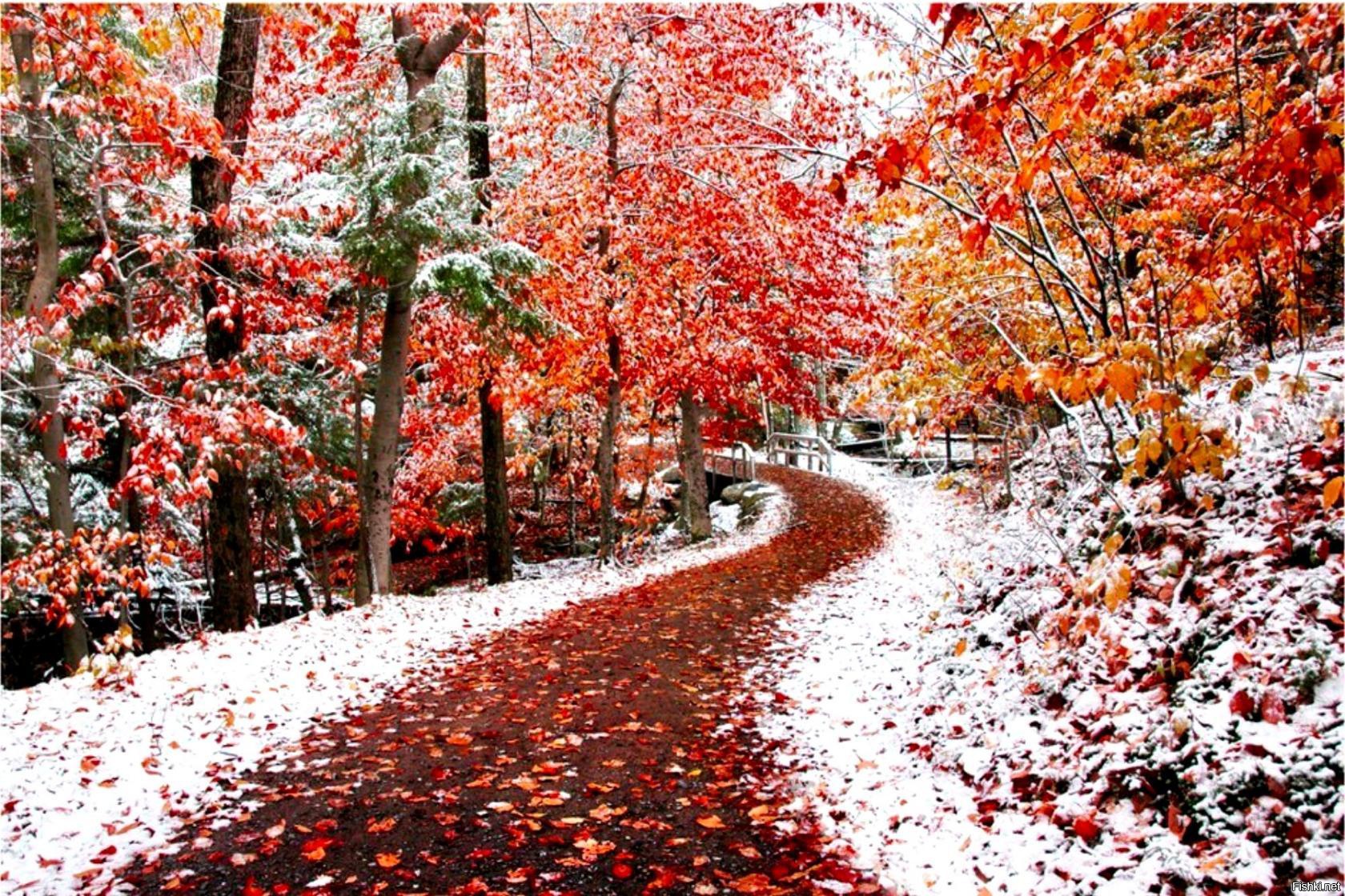 Поздняя Осень Начало Зимы
