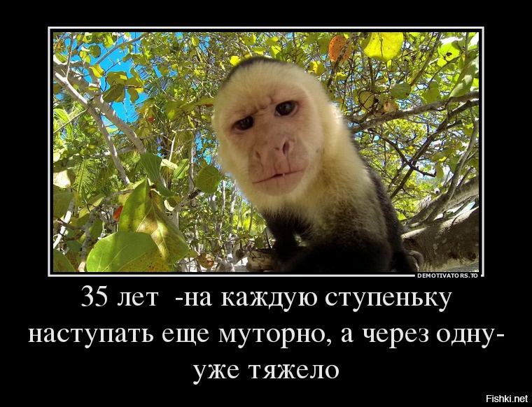 Мы думали у нас проблемы откуда нам было знать что счастливы. Откуда такая есть. Это откуда к нам такого красивого дяденьку. Откуда мы знали что были счастливы. Откуда такая есть.