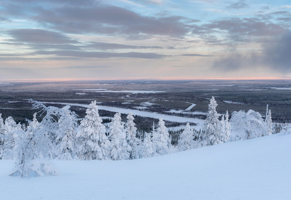 Озеро в лапландии 5. Лапландия.. Lapland Страна. Замерзшие деревья Лапландии. Лапландия картинки.