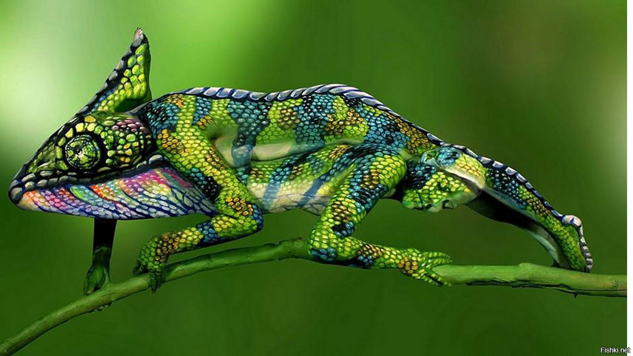 Рисунки по книге. Хранитель лев хамелеон. Хамелеонша. © алена савченкова. Крутые имена хамелеон.