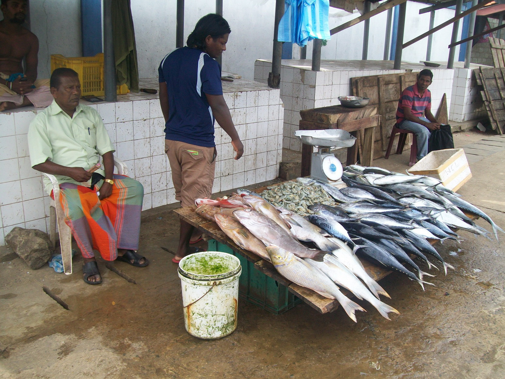 Рыба на шри ланке. Шри Ланка морепродукты рынок. Рыбный рынок Шри Ланка. Морепродукты Шри Ланки.
