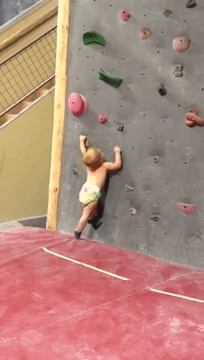 Будущий скалолаз