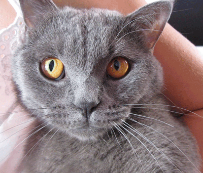 Камеру убрал!