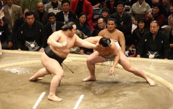 Самые интересные факты о борьбе сумо сумо, факты, япония
