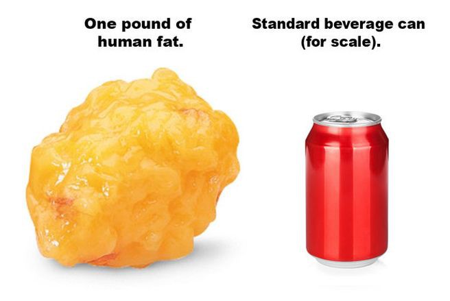 Почему висцеральный жир опасен и как от него избавиться