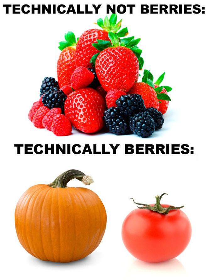 4. Некоторые фрукты — это ягоды, а некоторые ягоды — фрукты.