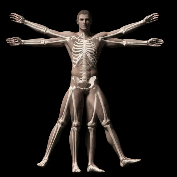 10. Относительно своего веса ваши кости прочнее, чем сталь.