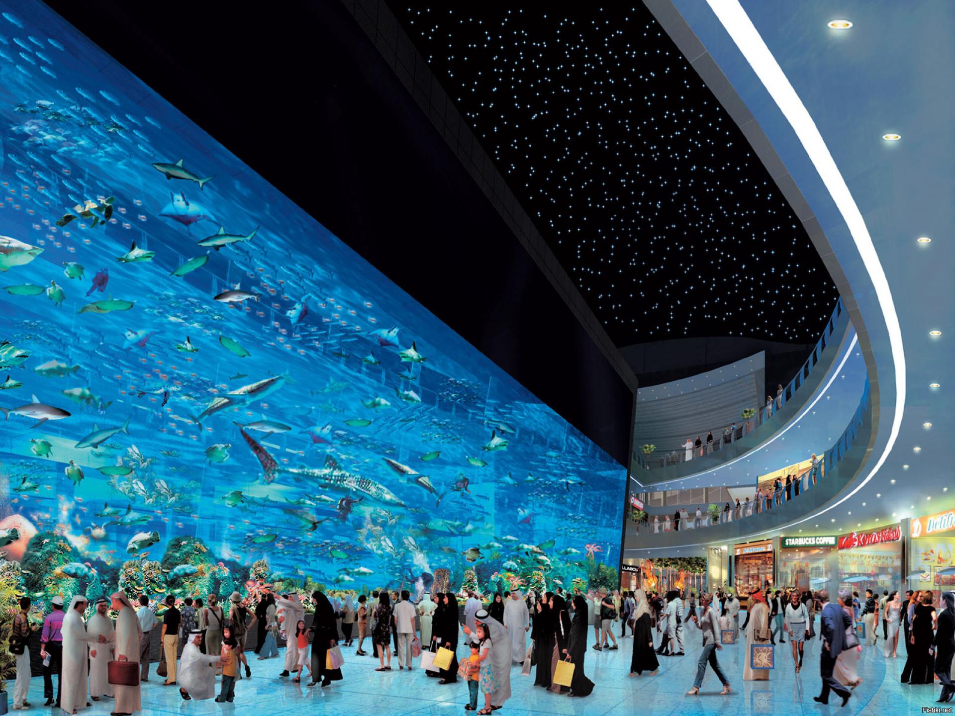 Какой самый большой центр в москве. Дубайский океанариум в Дубай молле. Аквариум "Dubai Mall" (ОАЭ, Дубай). Dubai Mall аквариум. Торговый центр Дубай Молл.